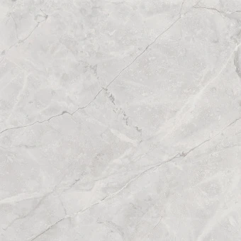 Connect Gris Керамогранит серый SG619922R 60х60 полированный