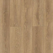 Gaula 1022-21