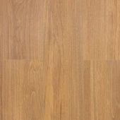 6008 Кэрри