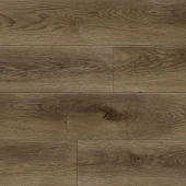 Федель D50667
