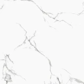 R_PR1001 Керамогранит Калакатта Венатино 60*60см полированный 1,44м2