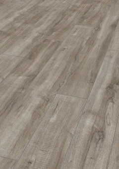 D3662 Дуб Монтмело Серебряный