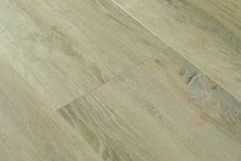Форель