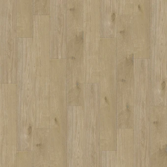 6112 Дуб Бельгард