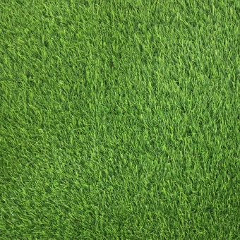 Грас / GRASS 35 мм