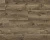 63110 Дуб Сиена
