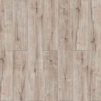 Дуб Чиантар 3005
