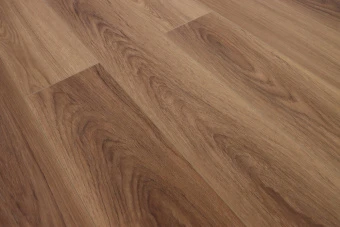 Дуб Шоколадный