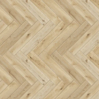  Дуб Ренн H014