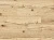 61470 Дуб Мондо 