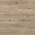 D51037 Дуб Ормонд