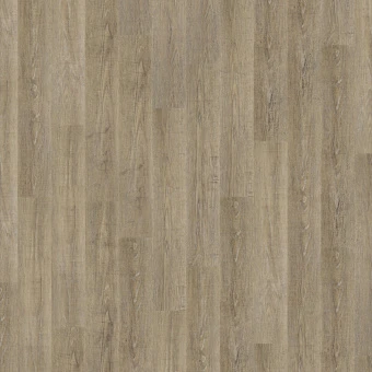 Энигма / ENIGMA