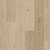 AVSPT 40322 Дуб береговой песчаный