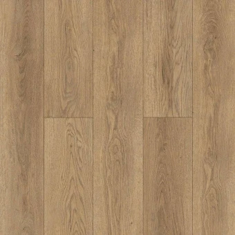 Gaula 1022-21