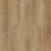 Дуб Франц ABA ECO 7-26