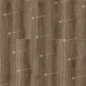 LF100-14  Дуб Болонья