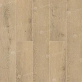 Дуб Фелис ABA ECO 7-25