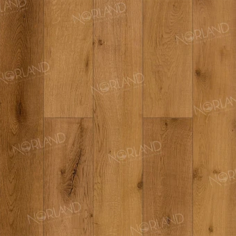LF302-13 Дуб Помона