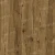 LF302-18 Дуб Корсика