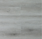 U1963 Дуб Дарвин