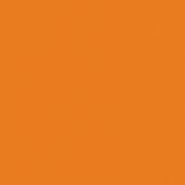 OMNISPORTS ACTION 65 ORANGE