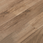 16145 Дуб Перфекто