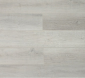 U1961 Дуб Албани 