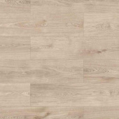 56697 Дуб Бредфорд / Bradford Oak