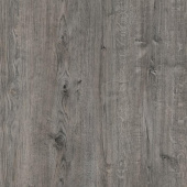 SF110 Дуб Капри