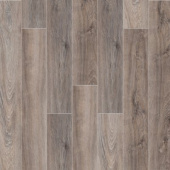 Дуб Вайоминг 2005