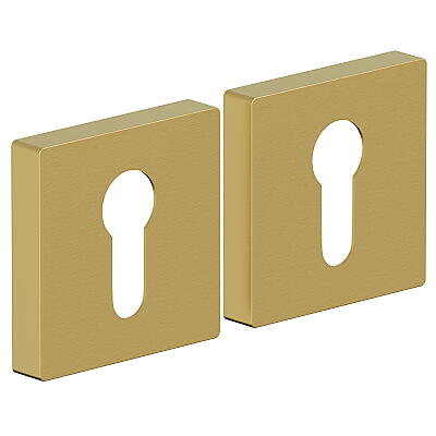 AS-6CL (цвет SGold)