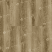 ECO 24-5 Дуб Серена