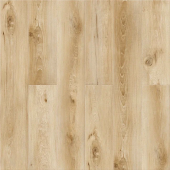 Дуб Москва А 104