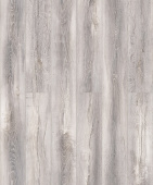 D50027 Дуб Карлеон