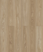 D50587 Дуб Майлен