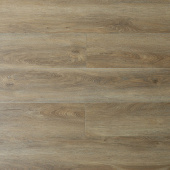 16184 Дуб Кьяссо