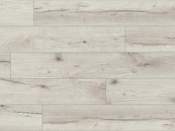 57312 Висконсинский дуб