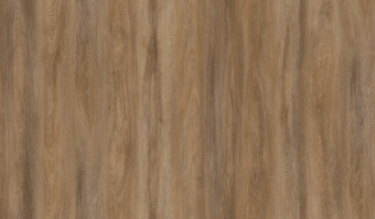 CFF 502 Дуб Барбарис