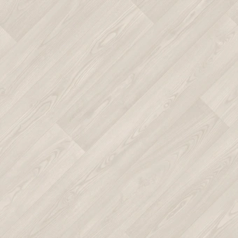 PHILOSOPHY BELMOND 5