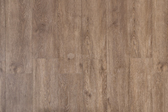 ECO 11-11 МАСЛИНА