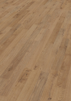 4953 Дуб Плау