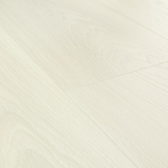 CLH 5798 Дуб морозный