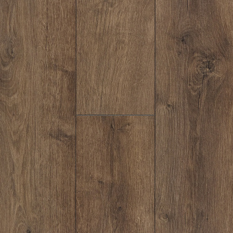 Дуб Вояджер FP1123
