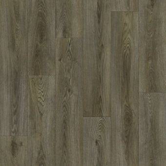 BONUS NERO 1; NERO 2; NERO 3