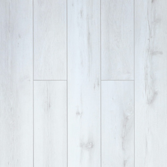 161115 Дуб Шарден