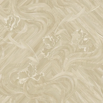 GLADIATOR ADALIA 1;  ADALIA 2