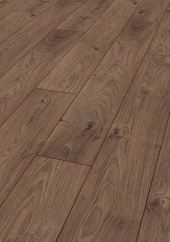 3591 Дуб Атлас кофейный