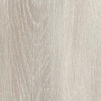 FP11 Дуб пепельный