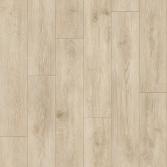 IDYLLE NOVA  MOTION 1; MOTION 2; MOTION 3