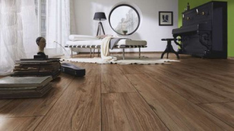 4709 Орех Таррагона 